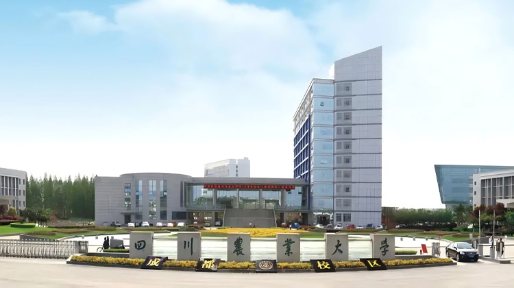 四川农业大学2025年同等学力人员申请硕士学位招生简章